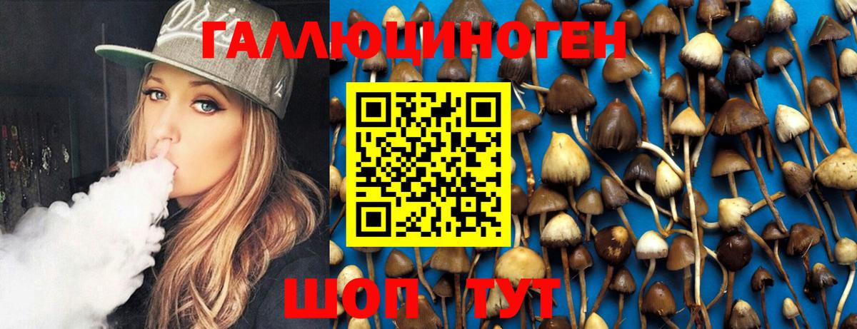 закладка  Псилоцибиновые грибы Psilocybine cubensis  Галлюциногенные грибы Psilocybine cubensis  Вход с VPN  Гусь-Хрустальный 
